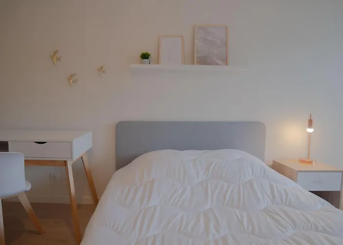 Envie Lyonnaise Location - 10 personnes - Terrasse - WIFI Fibre optique